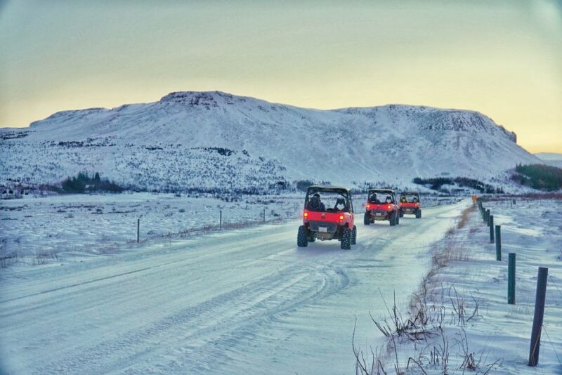 From Reykjavik: Buggy & Whale Watching Adventure - Pricing and Duration