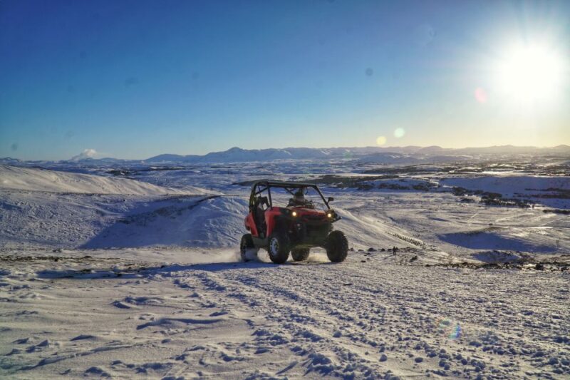 From Reykjavik: Buggy & Whale Watching Adventure - Cancellation and Reservation Policy
