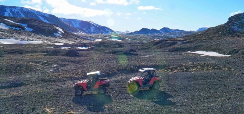 From Reykjavik: Buggy & Whale Watching Adventure - Buggy Adventure Experience