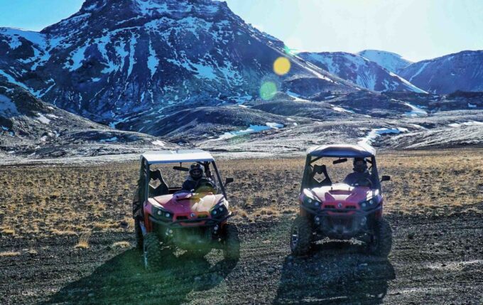From Reykjavik: Buggy & Whale Watching Adventure - Whale Watching Tour
