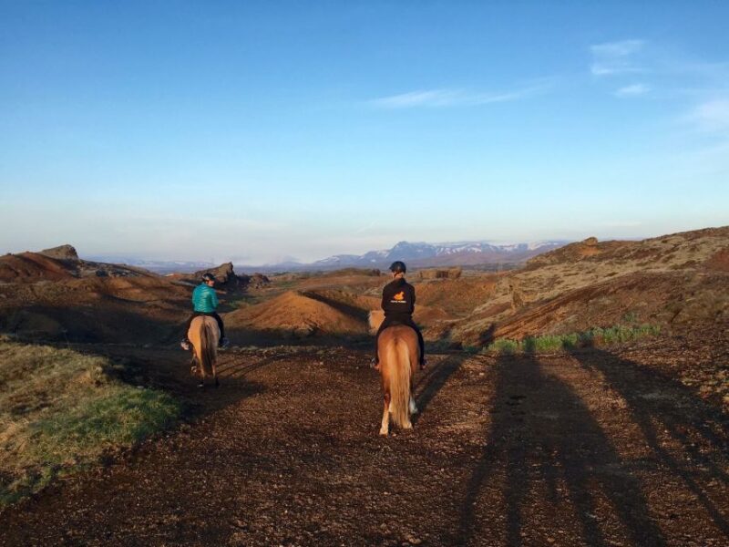 From Reykjavik: Evening Horseback Tour With Transfer - Group Size and Pickup