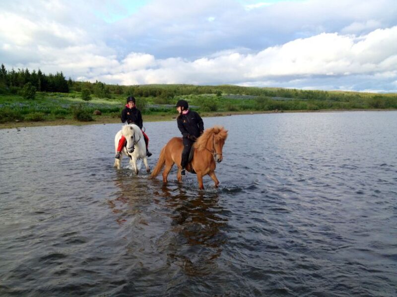 From Reykjavik: Evening Horseback Tour With Transfer - Booking Information
