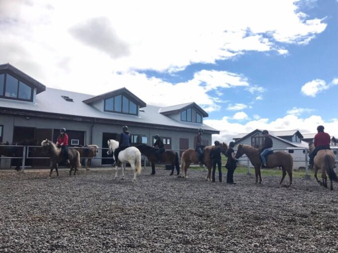 From Reykjavik: Evening Horseback Tour With Transfer - What to Bring