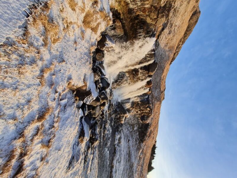 From Reykjavik: Explore the Waterfalls of the South Coast - Customer Reviews