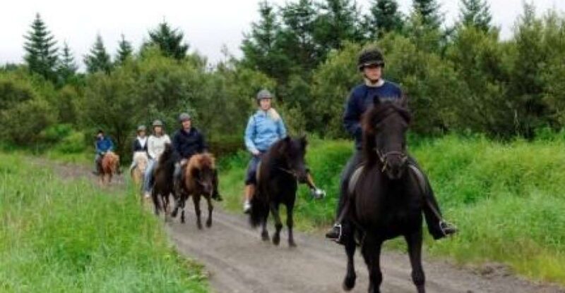 From Reykjavik: Full-Day Horse Riding & Golden Circle Tour - Itinerary Details