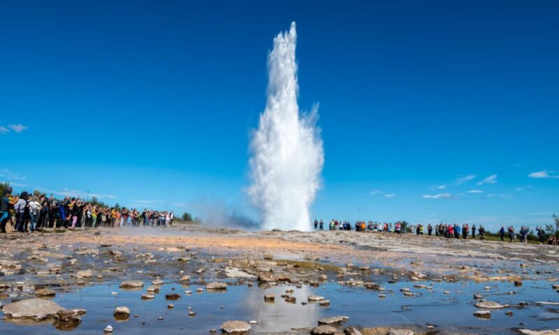 From Reykjavik: Full Day Whale Watching & Golden Circle Tour - Transportation and Pickup