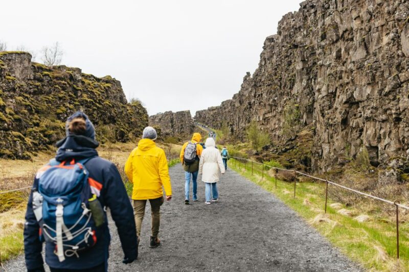From Reykjavik: Golden Circle & Blue Lagoon Tour With Drink - Transportation and Meals