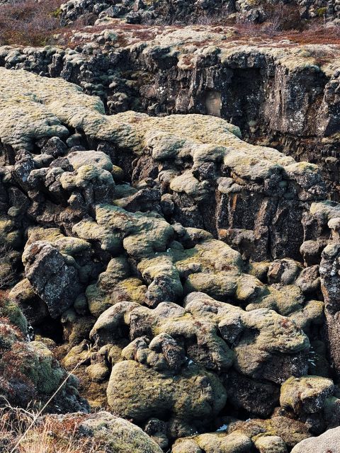 From Reykjavik: Golden Circle, Fridheimar & Lagoon Day Tour - Important Information and Recommendations