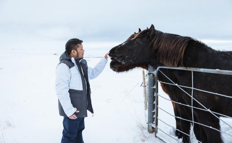 From Reykjavik: Golden Circle Private Tour & Photographs - Experience Highlights