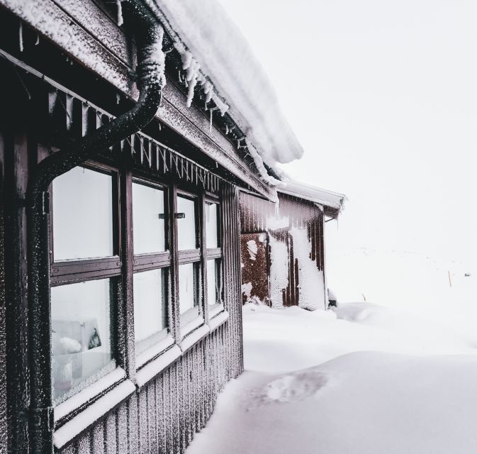 From Reykjavik: Golden Circle Super Jeep & Snowmobiling Tour - Key Points