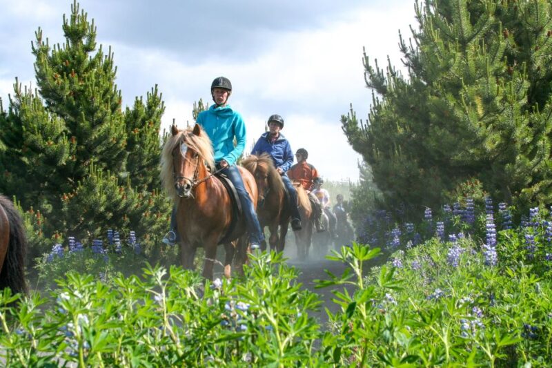 From Reykjavík: Icelandic Horse Riding Tour in Lava Fields - Experience Highlights