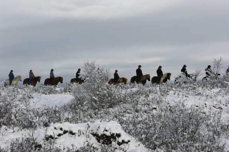 From Reykjavík: Icelandic Horse Riding Tour in Lava Fields - Equipment and Safety