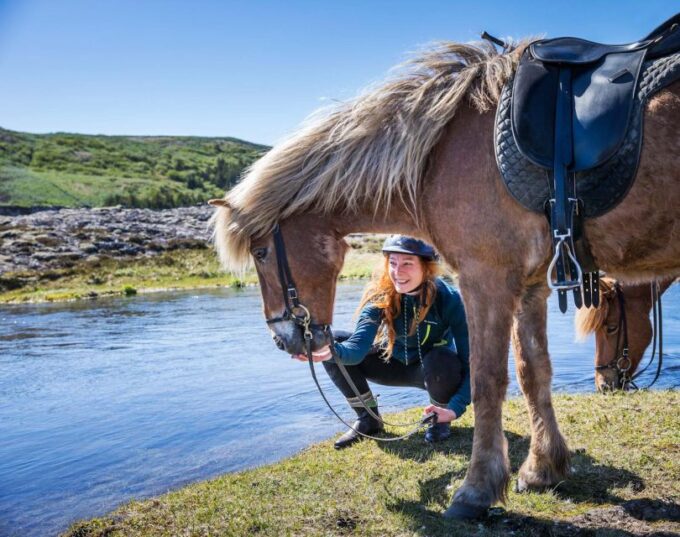 From Reykjavík: Icelandic Horse Riding Tour in Lava Fields - Icelandic Horse Gait