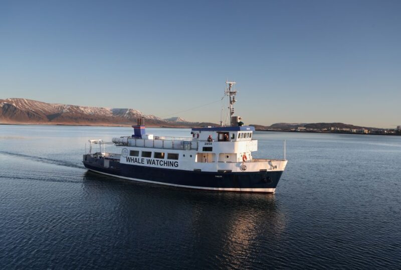 From Reykjavik: New Years Fireworks by Boat - Experience Highlights