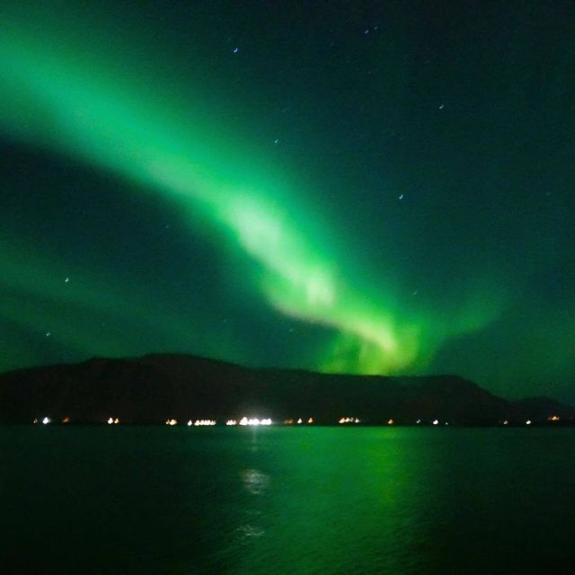 From Reykjavik: Northern Lights Boat Cruise - Booking and Rescheduling