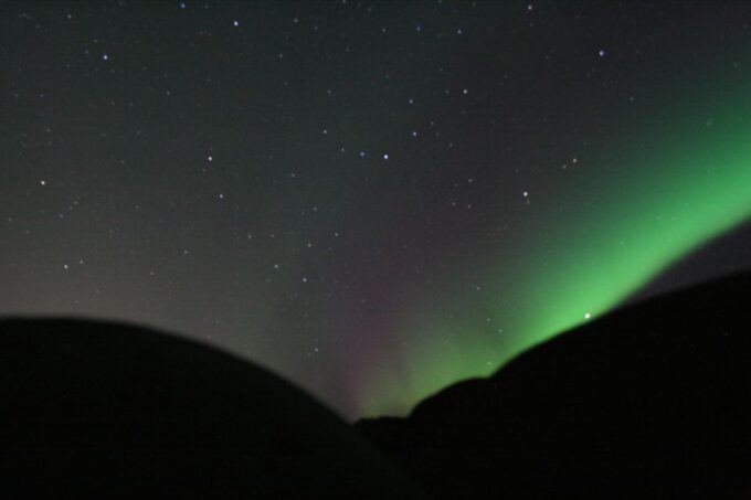 From Reykjavik: Northern Lights Boat Cruise - Tour Guide and Accessibility