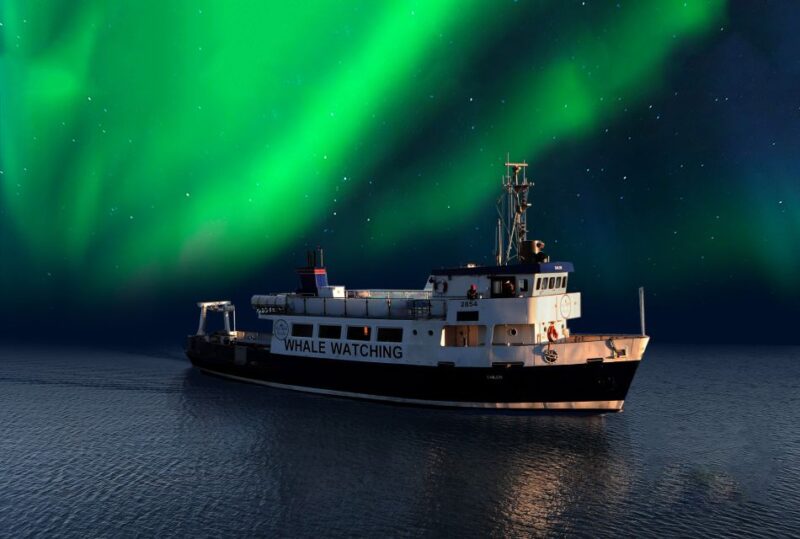 From Reykjavik: Northern Lights Sightseeing Cruise - Highlights of the Experience