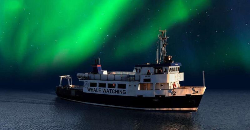 From Reykjavik: Northern Lights Sightseeing Cruise - Tour Details and Inclusions