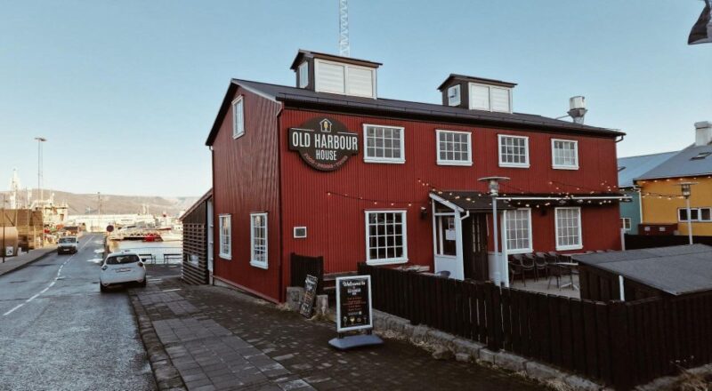 From Reykjavik: Northern Lights Sightseeing Cruise - Viewing the Northern Lights