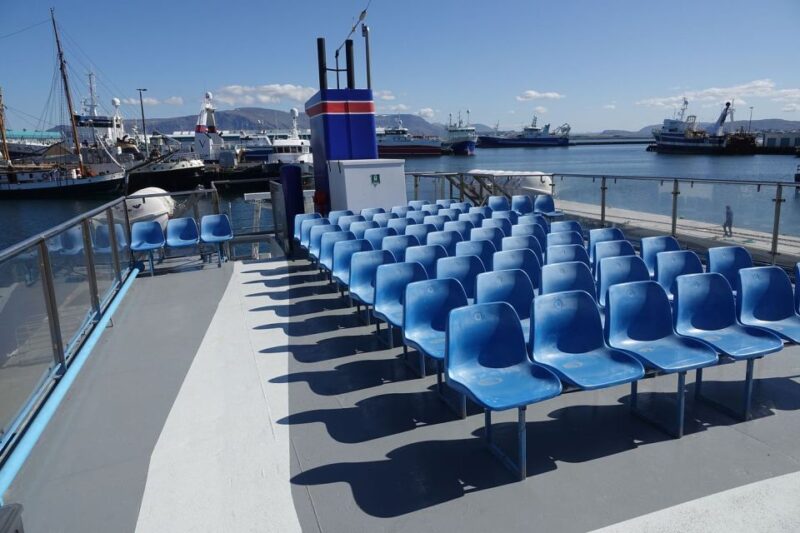 From Reykjavik: Northern Lights Sightseeing Cruise - Cancellation and Rescheduling