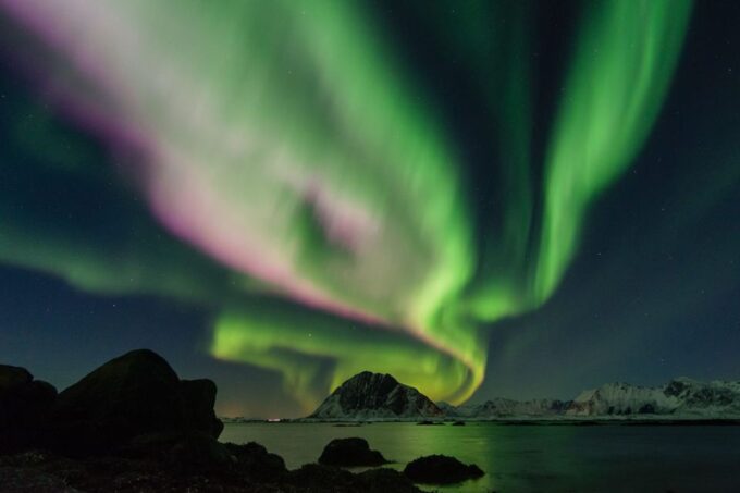 From Reykjavik: Northern Lights Sightseeing Cruise - Memorable Moments From Guests