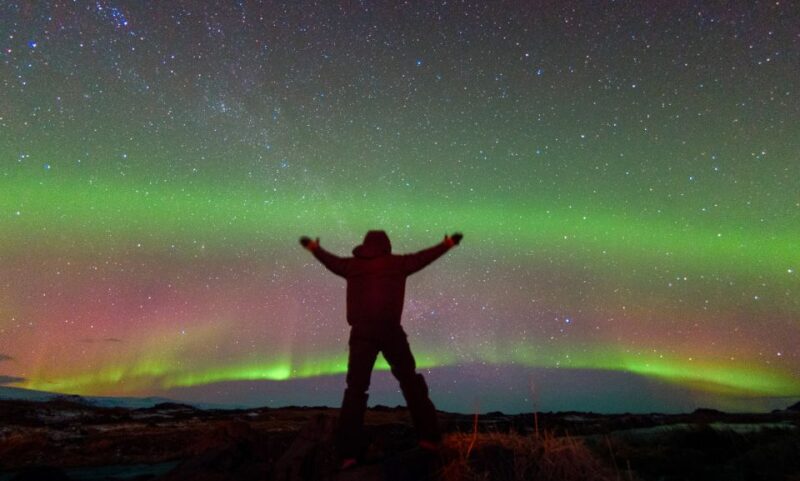 From Reykjavik: Northern Lights & Stargazing Bus Tour - Customer Reviews Summary