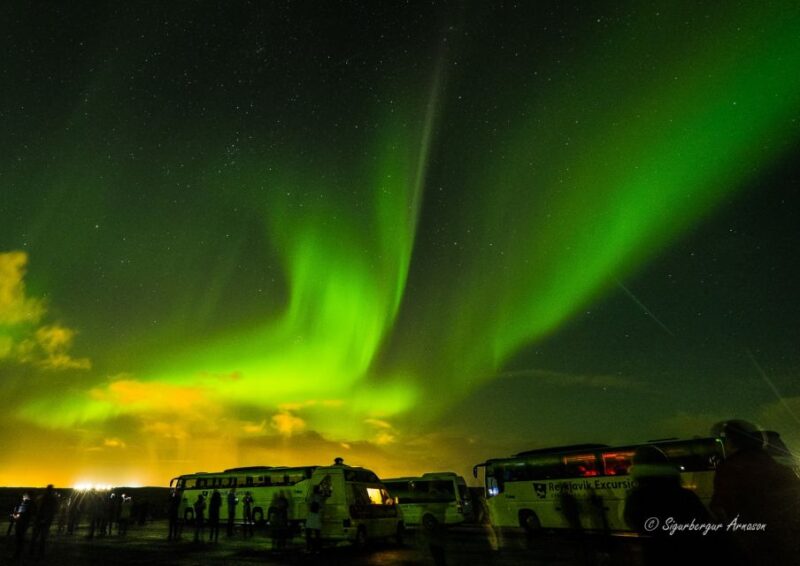 From Reykjavik: Northern Lights Tour - Northern Lights Sightings