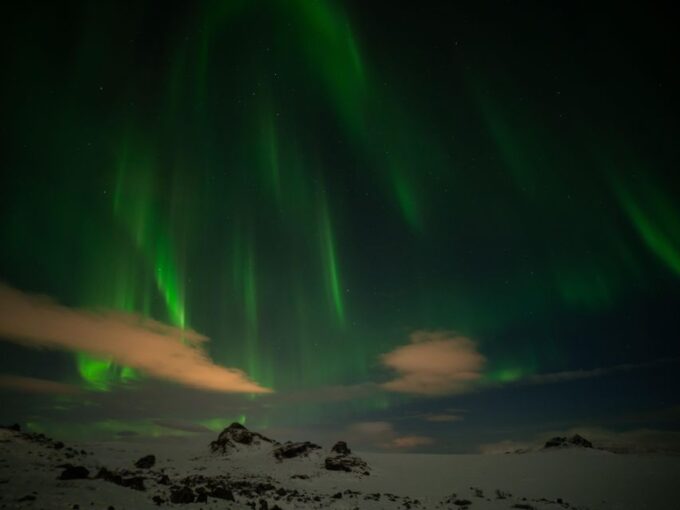 From Reykjavik: Northern Lights Tour With Hot Cocoa & Photos - Customer Feedback and Ratings