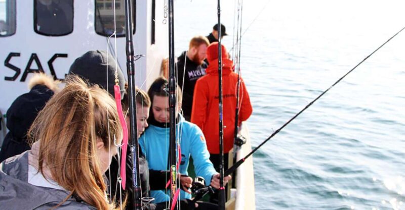 From Reykjavik: Sea Fishing Gourmet Tour - Key Points