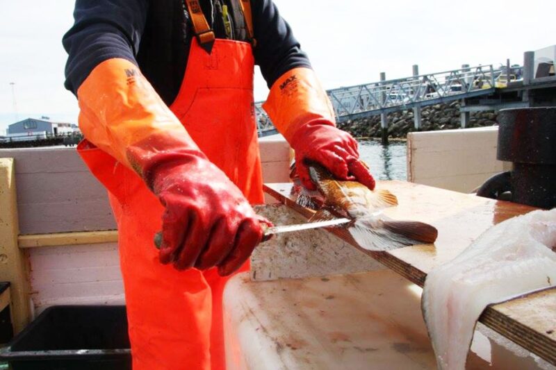 From Reykjavik: Sea Fishing Gourmet Tour - Tour Duration and Pricing