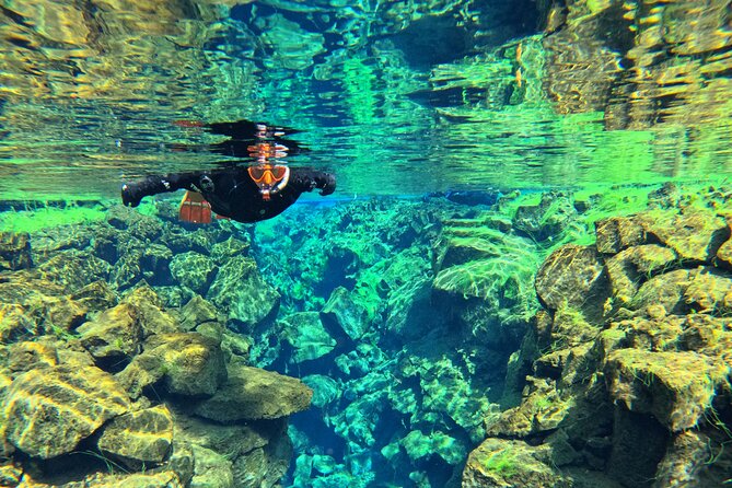 From Reykjavik- Silfra Snorkeling Transfer Included - Health and Safety Guidelines