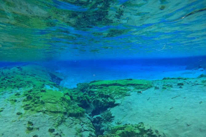 From Reykjavik- Silfra Snorkeling Transfer Included - Customer Reviews