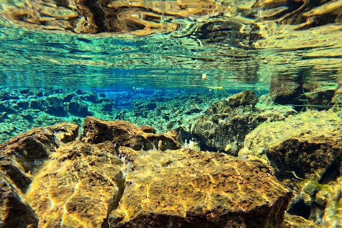 From Reykjavik- Silfra Snorkeling Transfer Included - What to Expect After Snorkeling