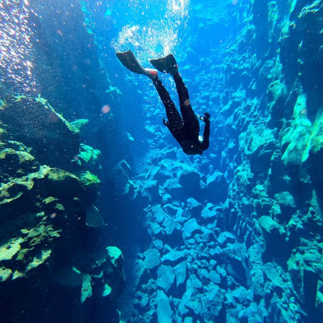 From Reykjavik: Silfra Snorkeling With Underwater Photos - What to Bring and Additional Information