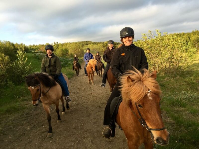 From Reykjavik: Small-Group Horse Riding Tour With Pickup - Key Points