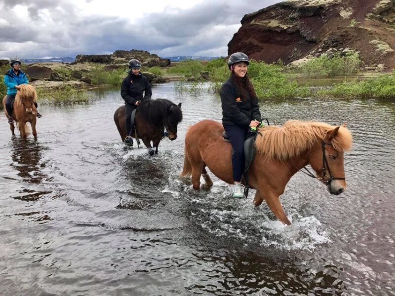 From Reykjavik: Small-Group Horse Riding Tour With Pickup - Pickup and Instructions