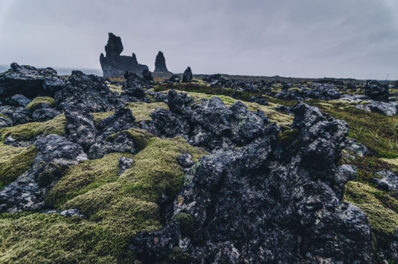From Reykjavik: Snæfellsnes Full-Day Tour With Homemade Meal - Culinary Experience
