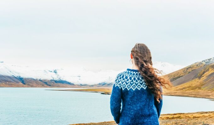 From Reykjavik: Snæfellsnes Full-Day Tour With Homemade Meal - Customer Feedback and Ratings
