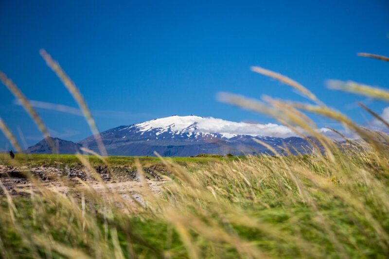 From Reykjavik: Snaefellsnes National Park - Small Group - Customer Experience