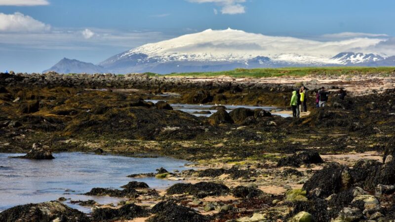 From Reykjavik: Snaefellsnes National Park - Small Group - Booking Information