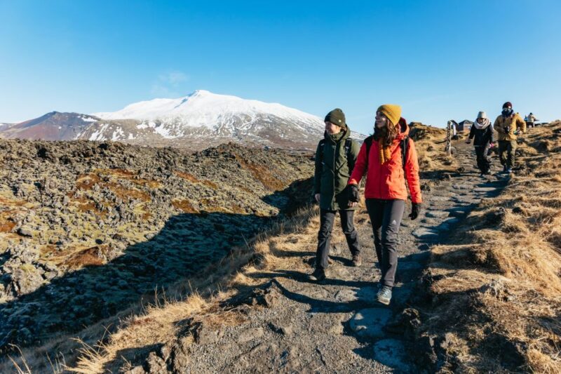 From Reykjavik: Snæfellsnes Peninsula Full-Day Tour - Itinerary Highlights