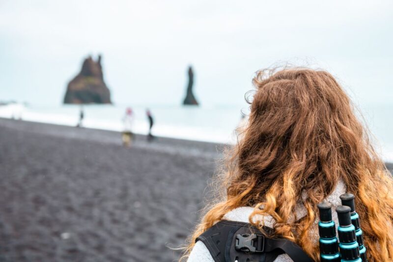 From Reykjavik: South Coast Full-Day Trip - Customer Feedback