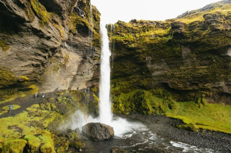 From Reykjavik: Waterfalls, Black Beach & Glacier Day Trip - Customer Reviews and Ratings