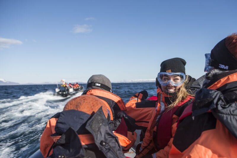 From Reykjavik: Whale and Puffin Watching RIB Boat Tour - Tour Exclusions
