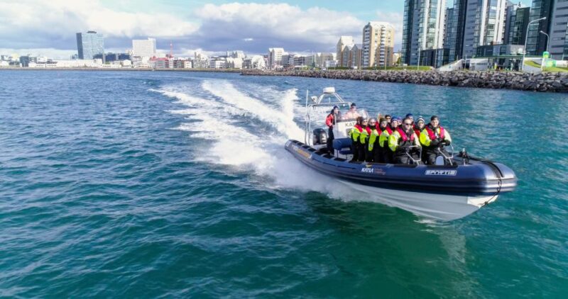 From Reykjavik: Whale Watching Tour by Speedboat - Safety and Comfort