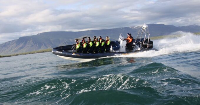 From Reykjavik: Whale Watching Tour by Speedboat - Scenic Coastal Views