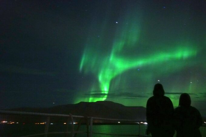 From Reykjavik: Whales and Northern Lights Boat Tour - Customer Feedback Highlights