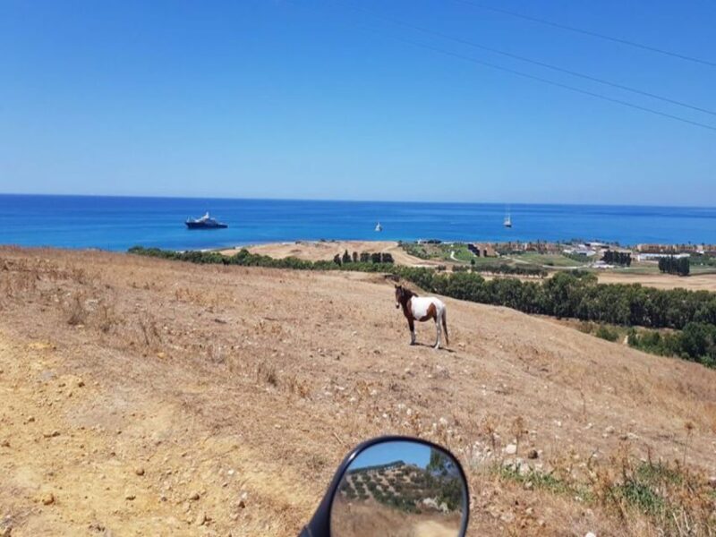 From Ribera: Quad Tour in the Province of Agrigento - Inclusions and Exclusions