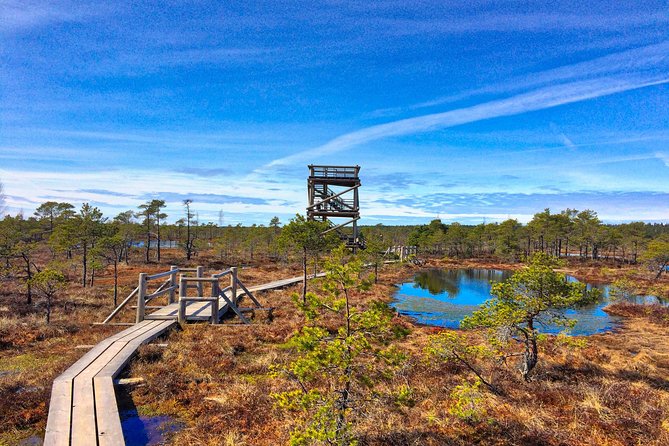 From Riga: Best of Kemeri National Park In One Day - Pickup Details