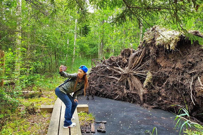 From Riga: Best of Kemeri National Park In One Day - Explore Hikes and Forests